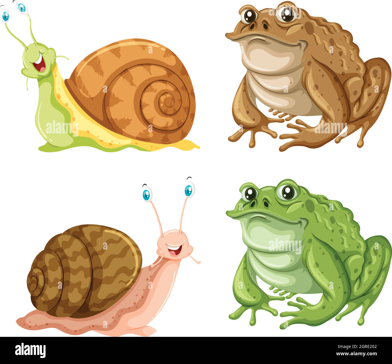 Frogs and snails on white background Stock Vector Image & Art Alamy