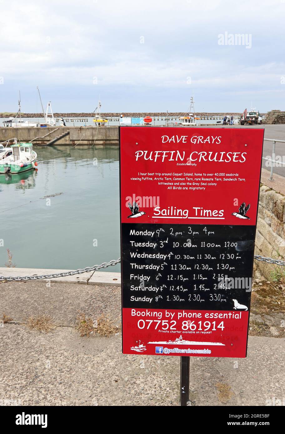 Sign giving times of Puffin Cruises from Amble to Coquet Island Stock Photo