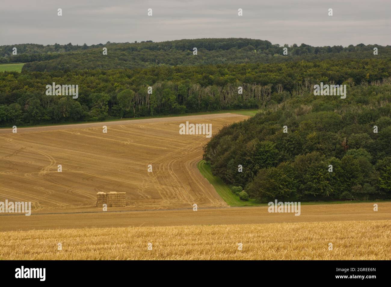 Countryside at Halnaker near Chichester on South Downs in West Sussex, England. With harvested cornfield. Stock Photo