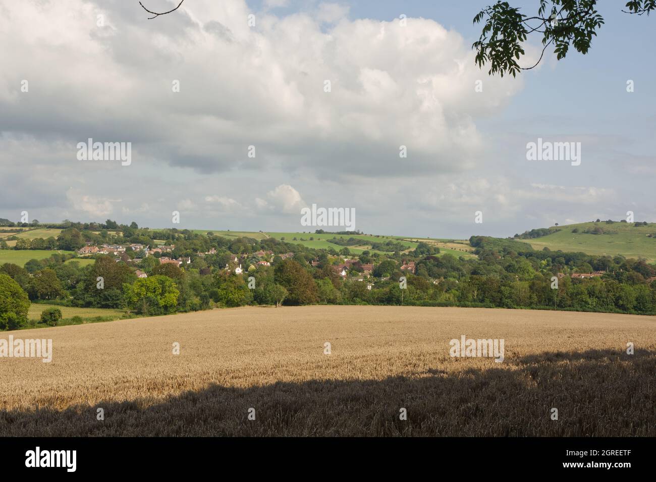 Countryside at Findon on the South Downs near Worthing, West Sussex, England. With ripe barley field, village and Cissbury Ring ancient hill fort. Stock Photo