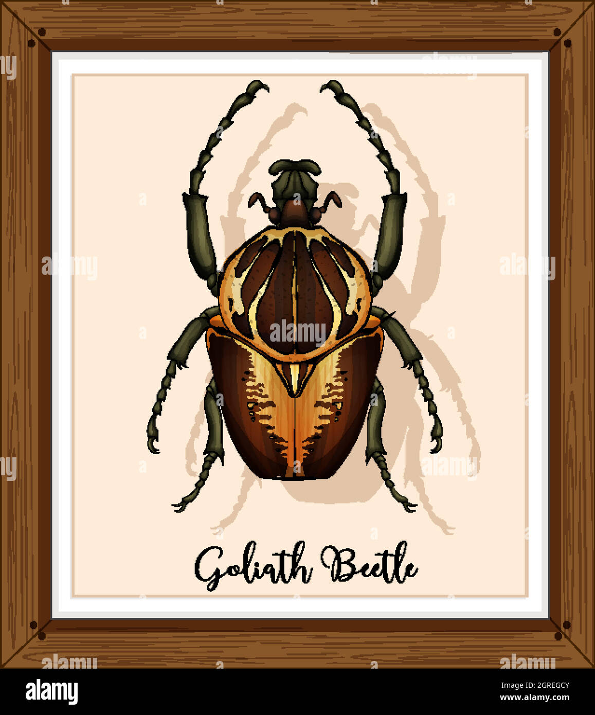 Beetle on wooden frame Stock Vector