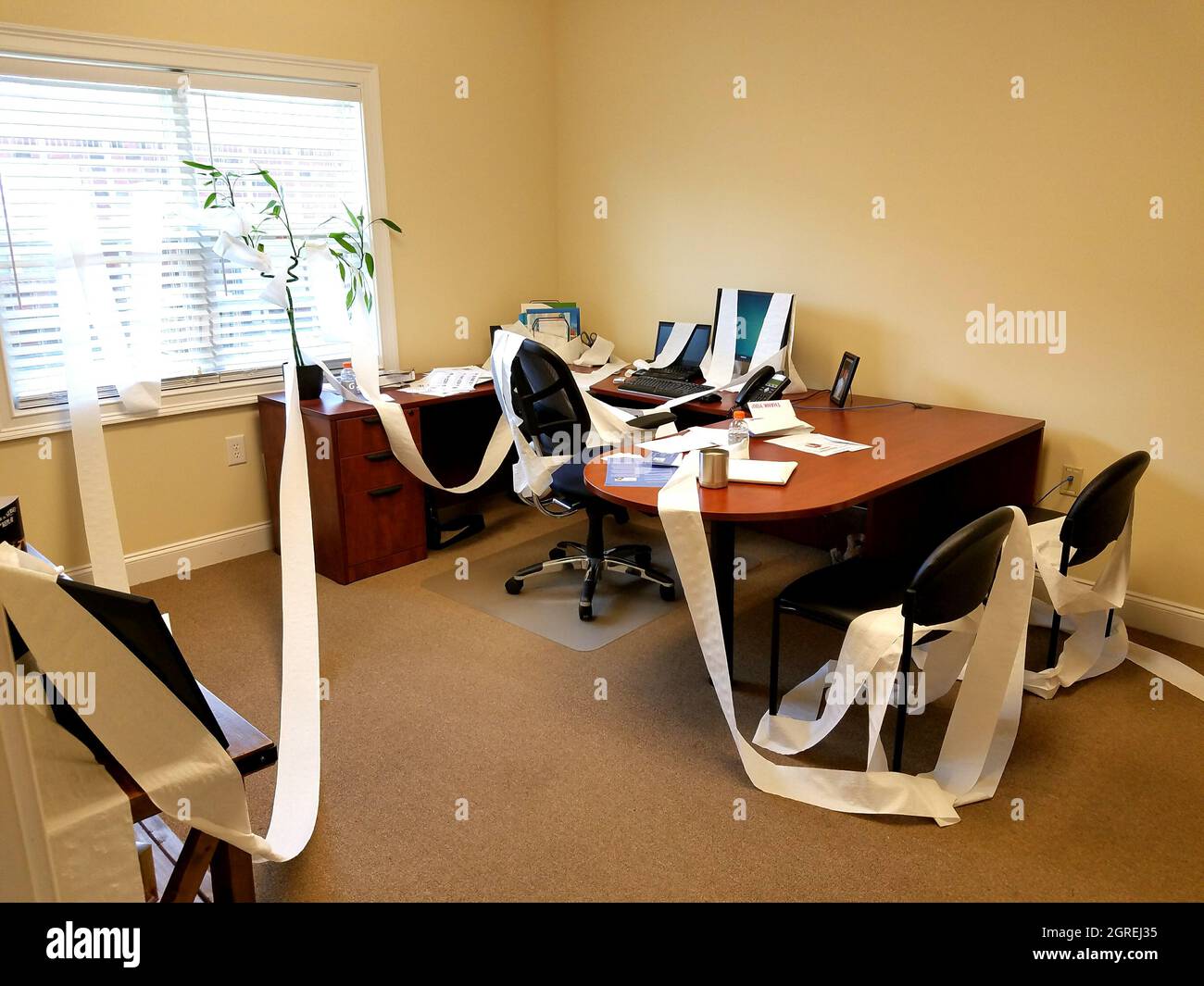Indoor Office With Toilet Paper Stock Photo - Alamy