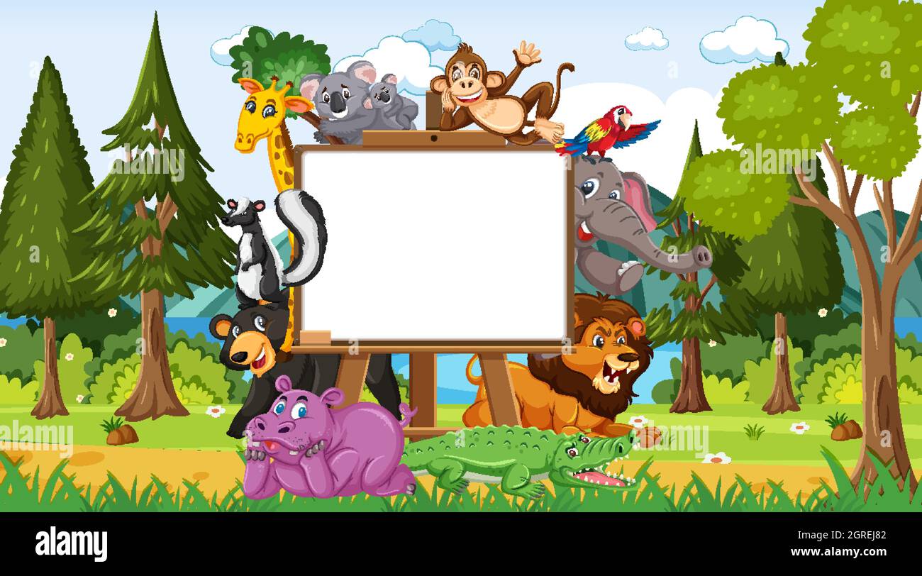 Empty wooden frame with various wild animals in the forest illustration ...