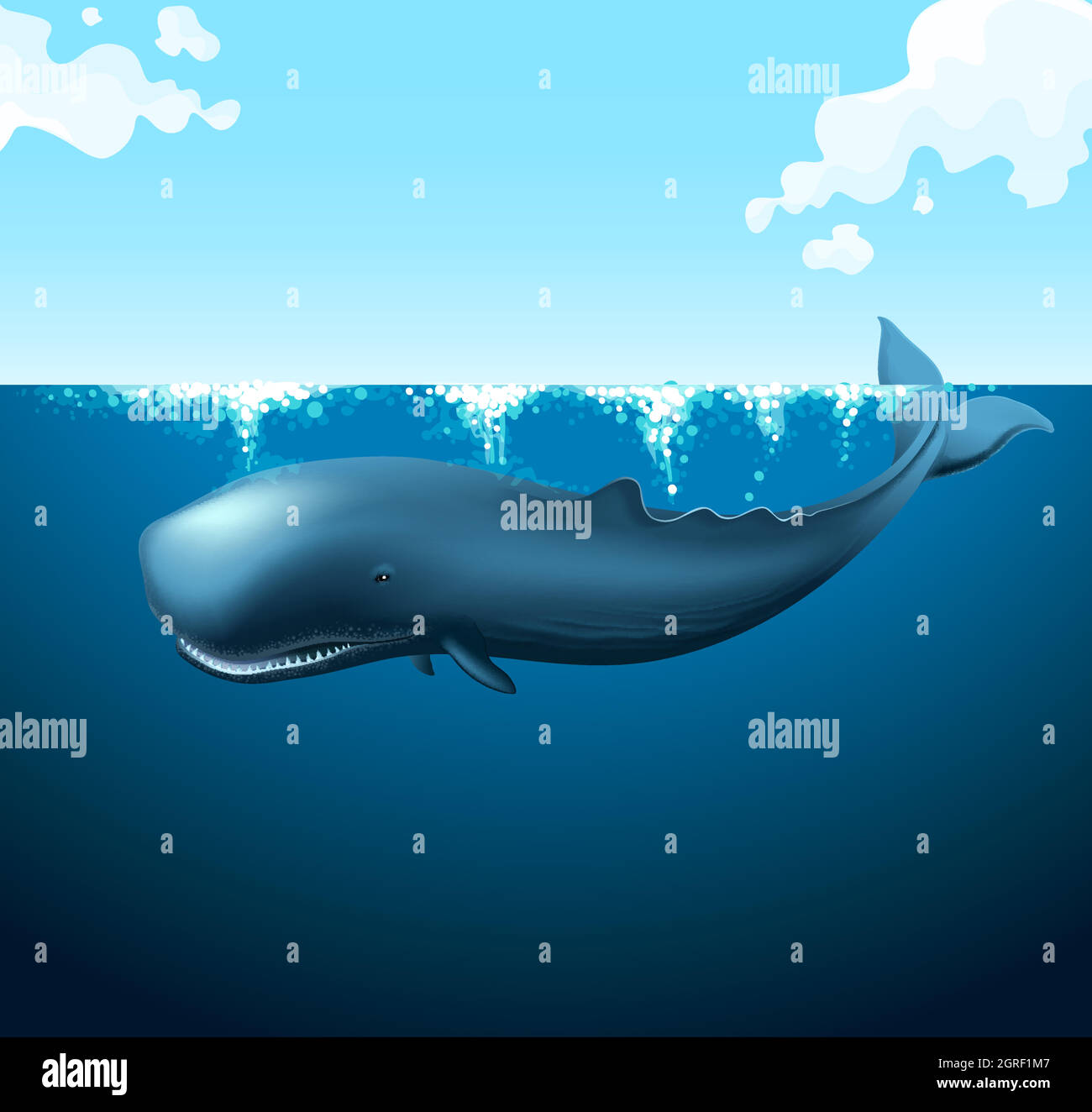 Blue whale swimming in the ocean Stock Vector Image & Art - Alamy