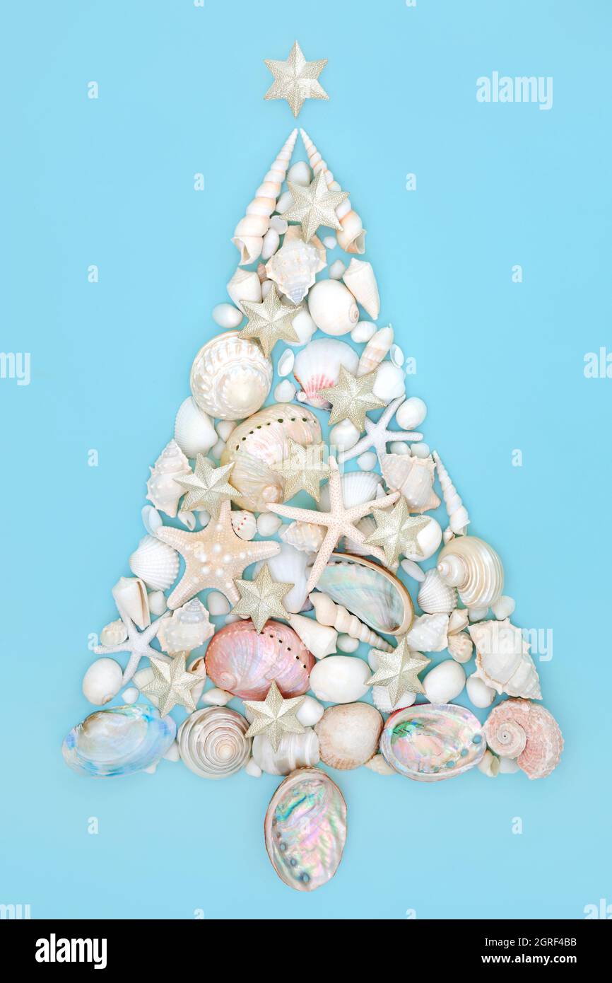 Christmas tree design made from seashells and star decorations on blue