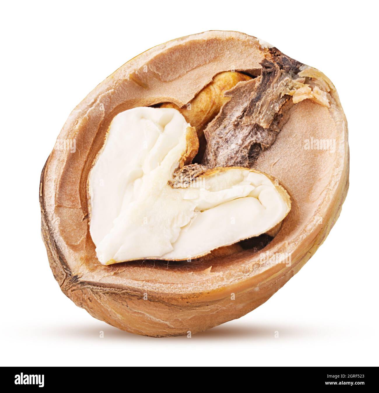 Young walnut cut in half isolated on white background. Clipping Path