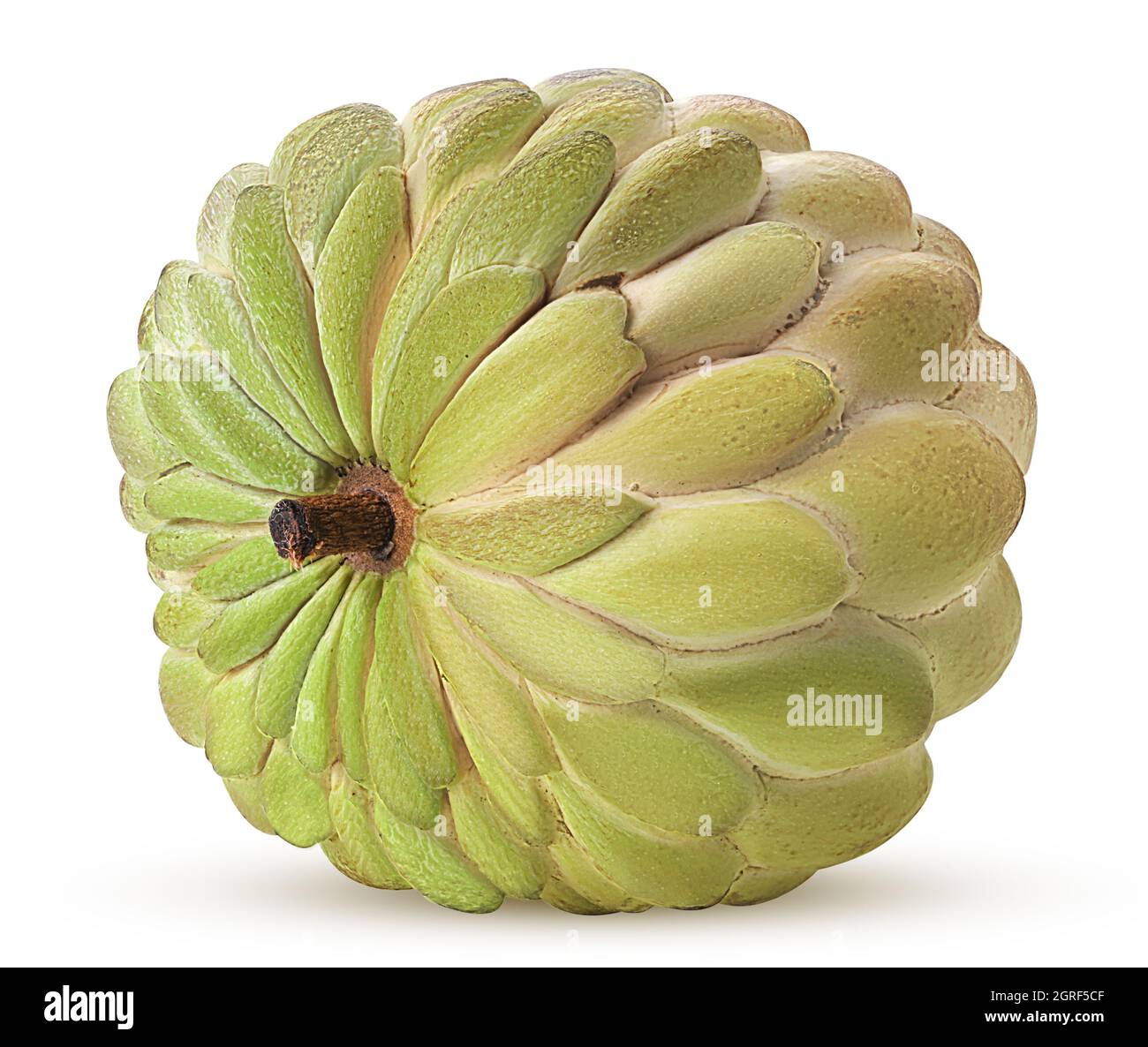 Sugar-apple, fruit of Annona squamosa cherimoya isolated on white ...