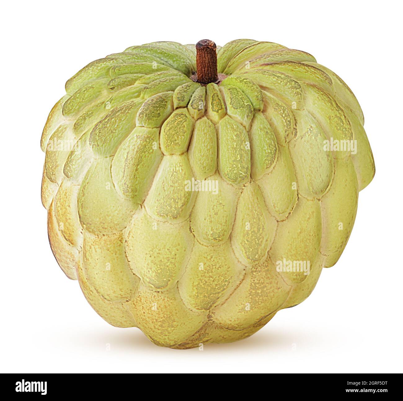 Sugarapple, fruit of Annona squamosa cherimoya isolated on white