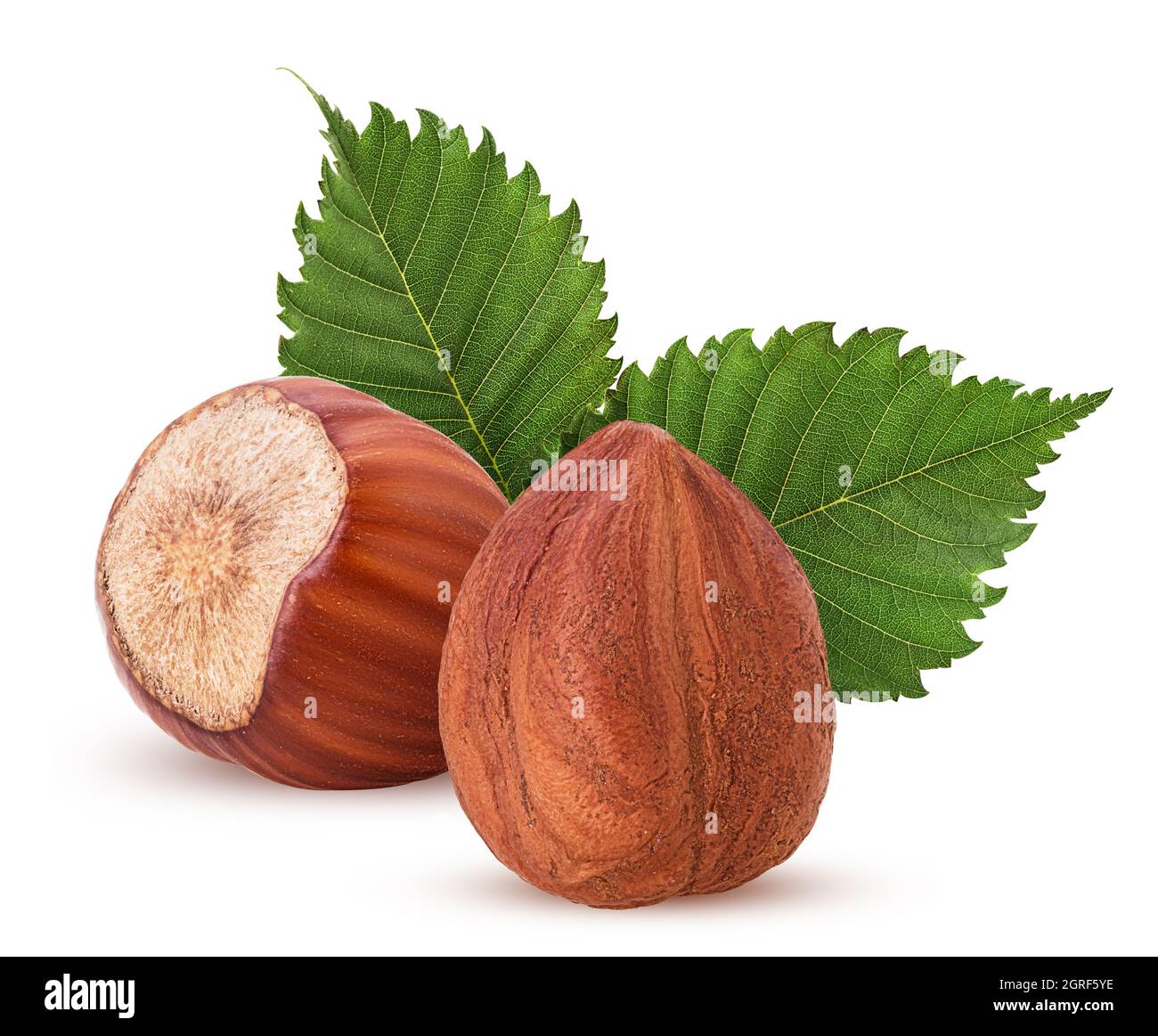 Peeled and one in shell hazelnut with leaf. Fresh organic filbert ...