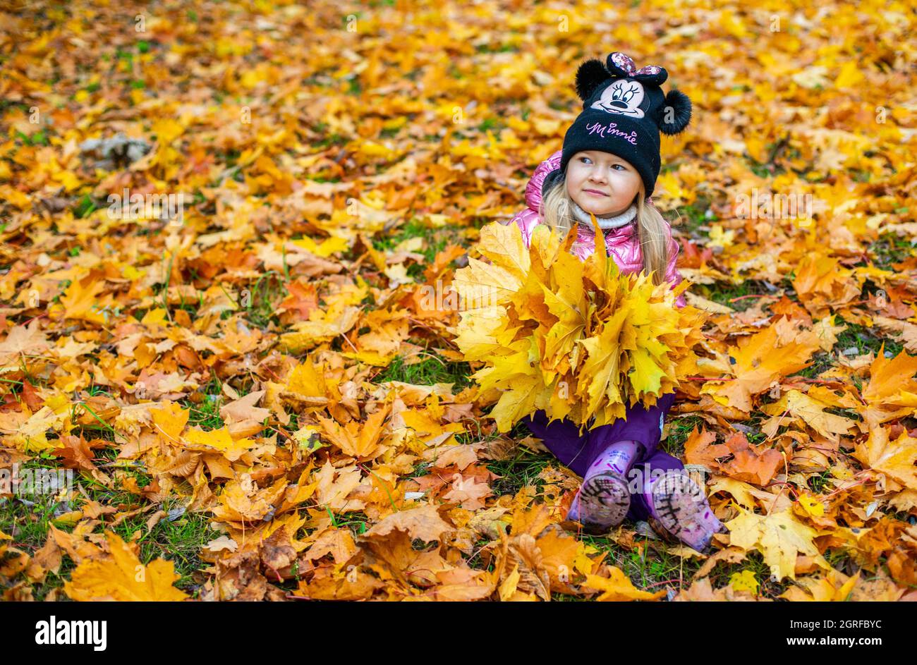 A girl is sitting among a large number of yellow maple leaves Stock ...