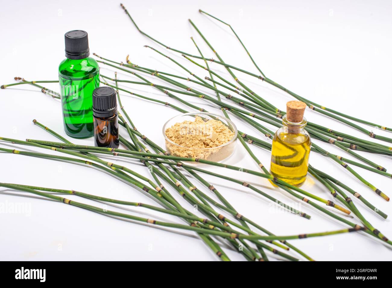 Water Horsetail, Swamp Horsetail, Equisetum Fluviatile, Oil And Extract