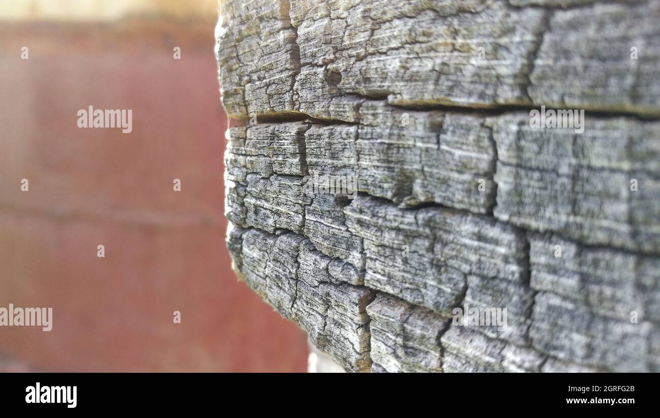 Close-up Of Wood Stock Photo