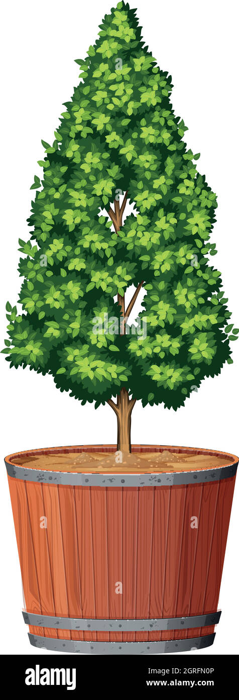 Plant in pot with soil isolated Stock Vector Image & Art - Alamy