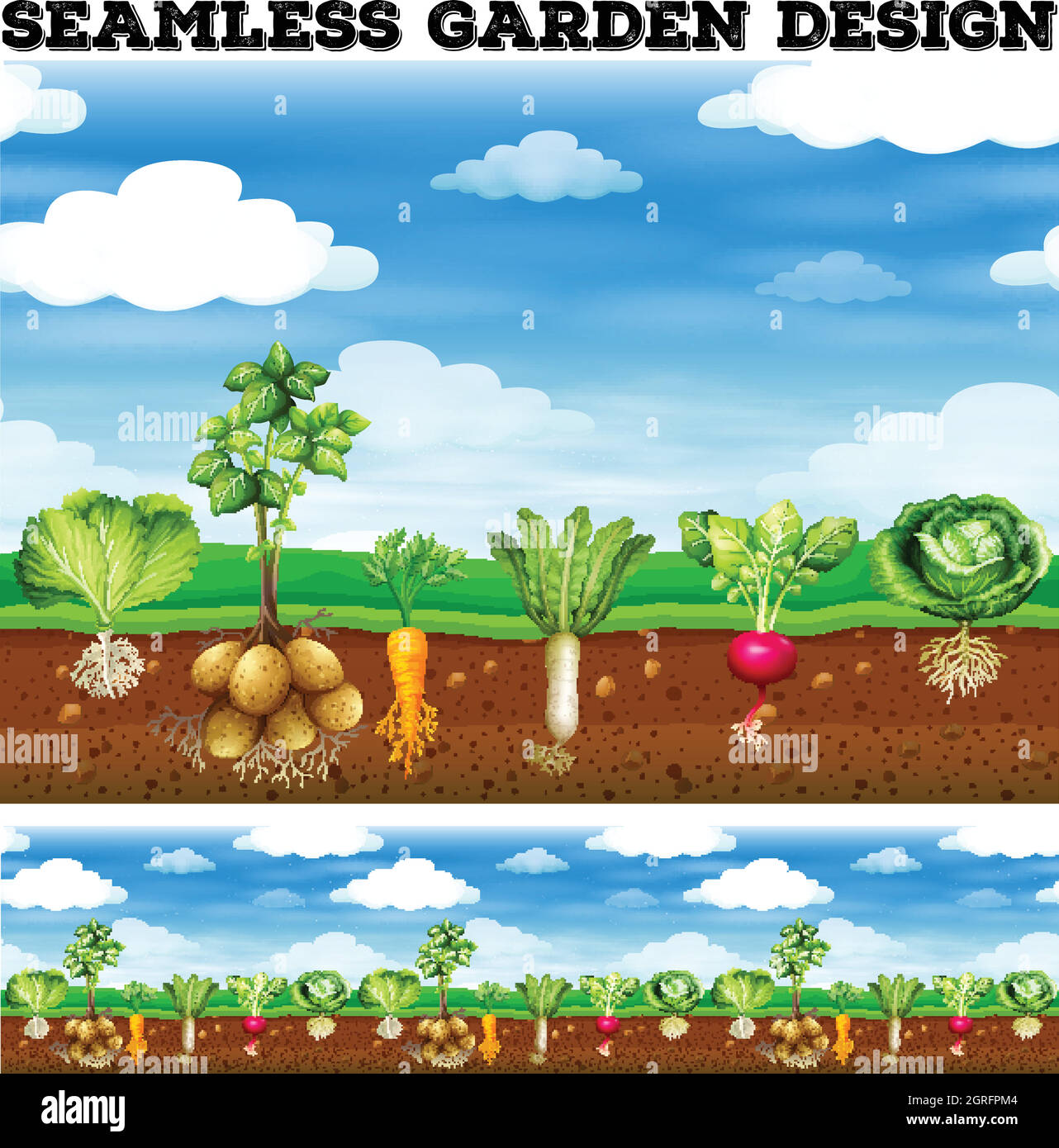 Different kind of vegetables in the garden Stock Vector Image & Art - Alamy