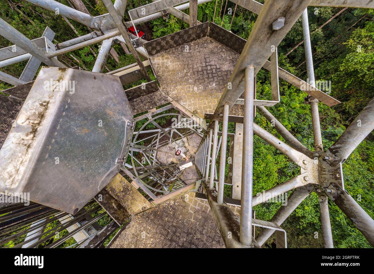 France, French Guiana, Kourou, Paracou research station (managed by CIRAD) studying gas exchanges (carbon cycle) between the different strata of the tropical rainforest, Guyaflux tower Stock Photo