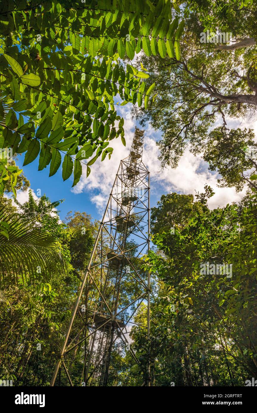 France, French Guiana, Kourou, Paracou research station (managed by CIRAD) studying gas exchanges (carbon cycle) between the different strata of the tropical rainforest, Guyaflux tower Stock Photo