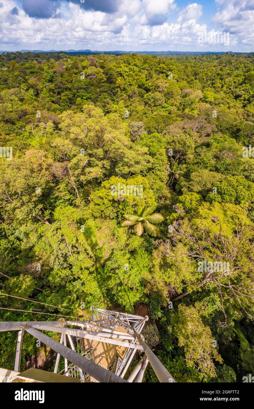 France, French Guiana, Kourou, Paracou research station (managed by CIRAD) studying gas exchanges (carbon cycle) between the different strata of the tropical rainforest, Guyaflux tower Stock Photo