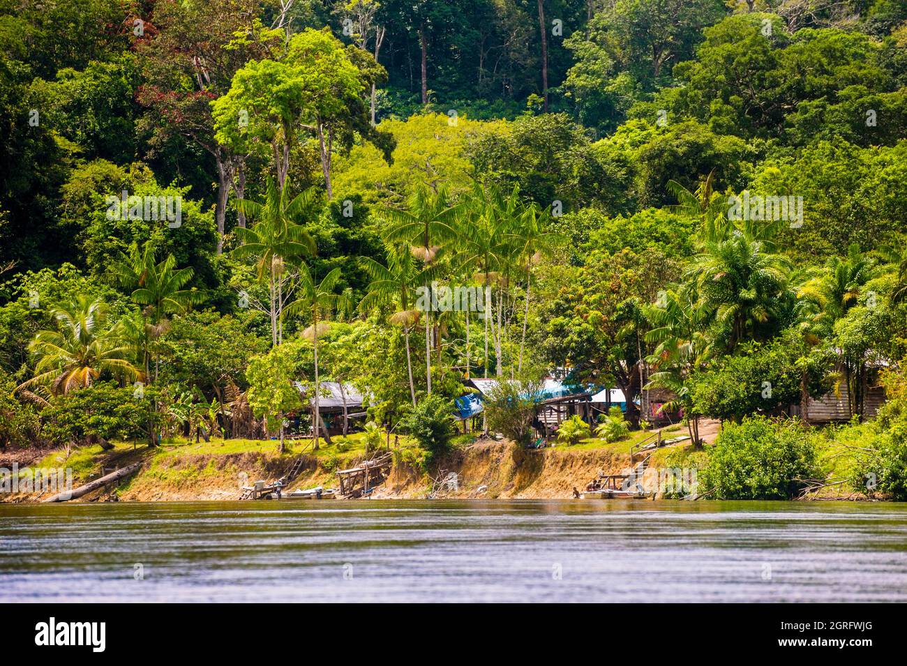France, French Guiana, Parc Amazonien de Guyane, Camopi, part of the Amerindian village of Wayãpi, on the banks of the Camopi river Stock Photo
