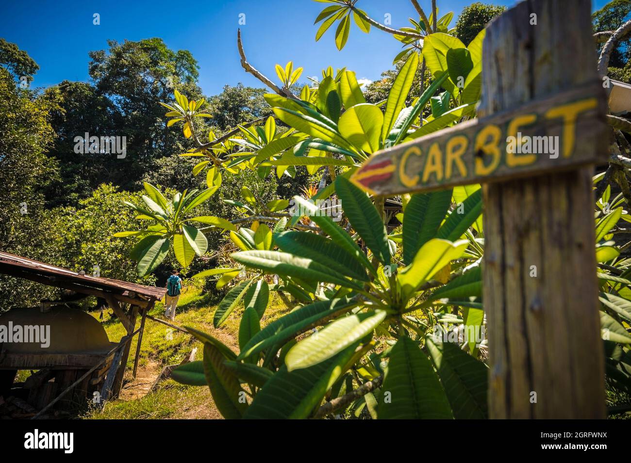 France, French Guiana, Saül, Parc Amazonien de Guyane, hiker on the Roche Bateau trail, at the Kanawa carbet Stock Photo