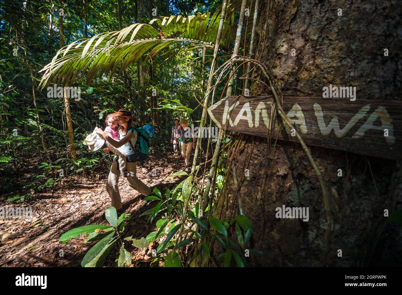 France, French Guiana, Saül, Parc Amazonien de Guyane, hikers on the Roche Bateau trail, near the Kanawa carbet Stock Photo