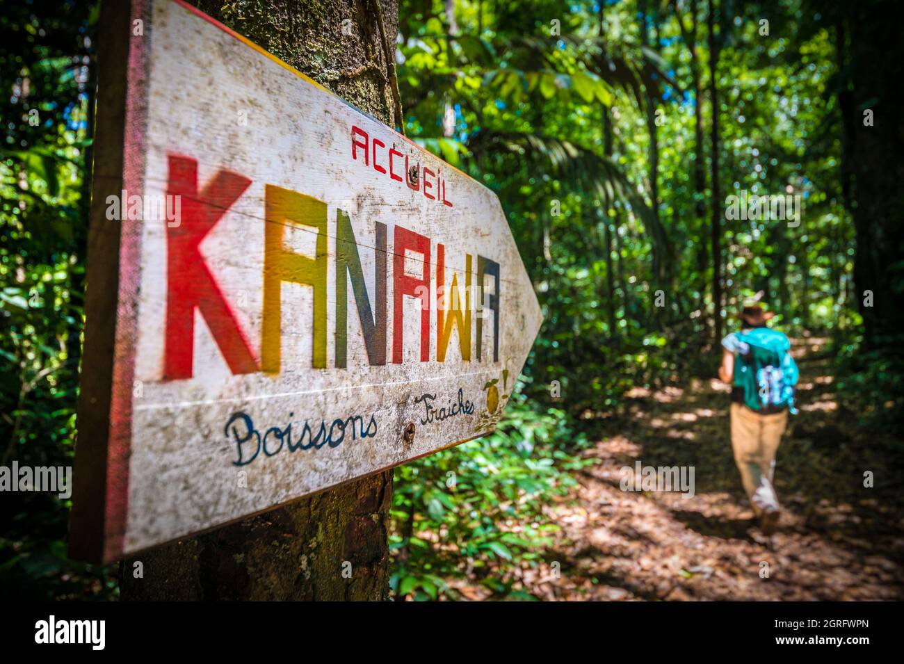 France, French Guiana, Saül, Parc Amazonien de Guyane, hiker on the Roche Bateau trail, near the Kanawa carbet Stock Photo