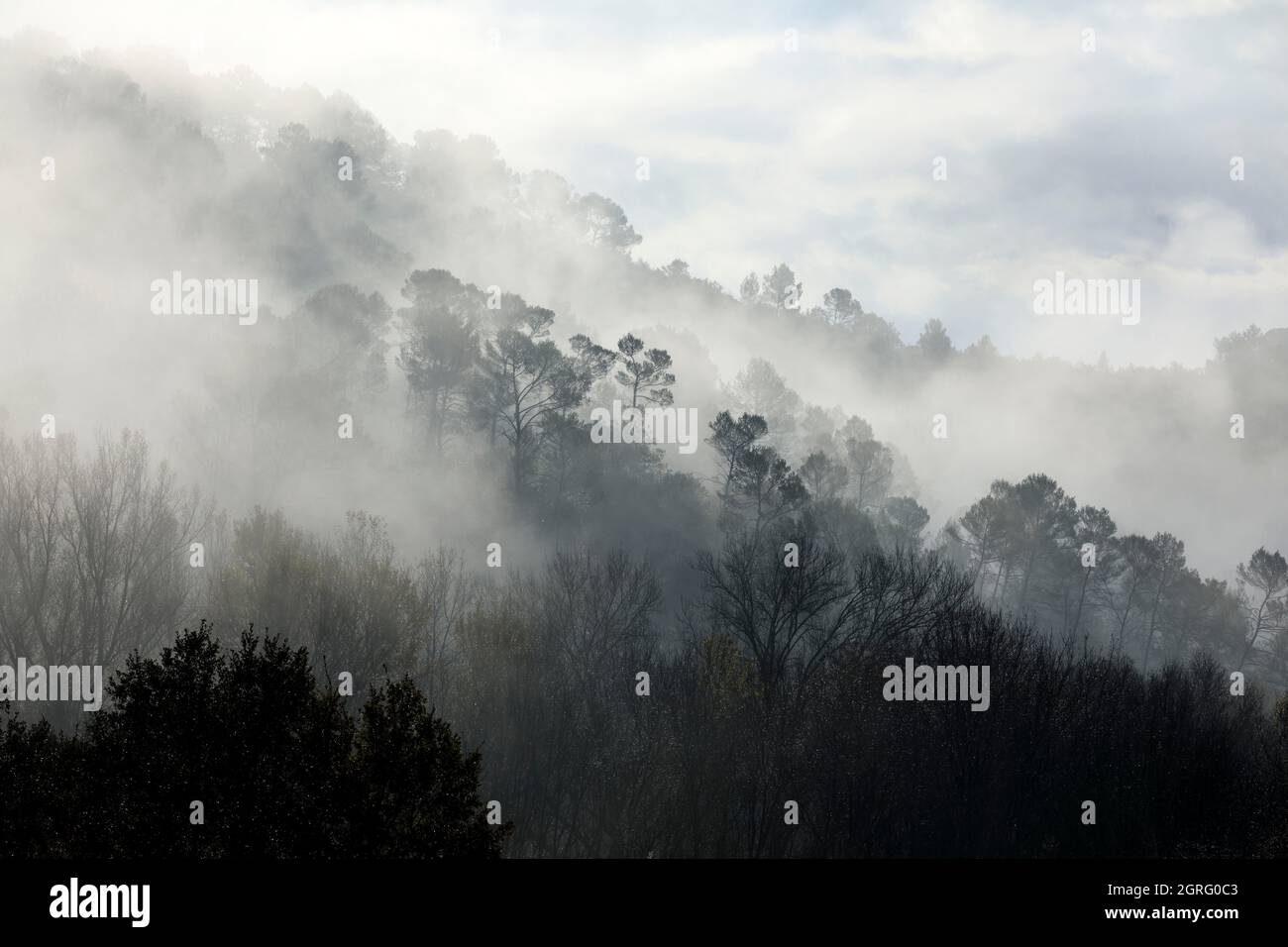 Bras Var High Resolution Stock Photography and Images - Alamy