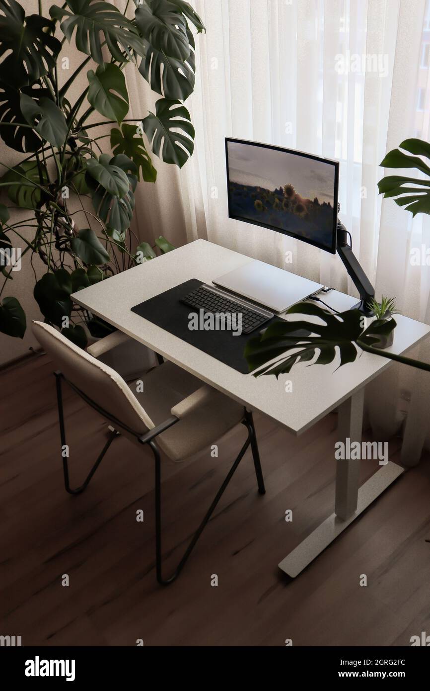 Workspace at home with a laptop. Minimalism interior with houseplants ...