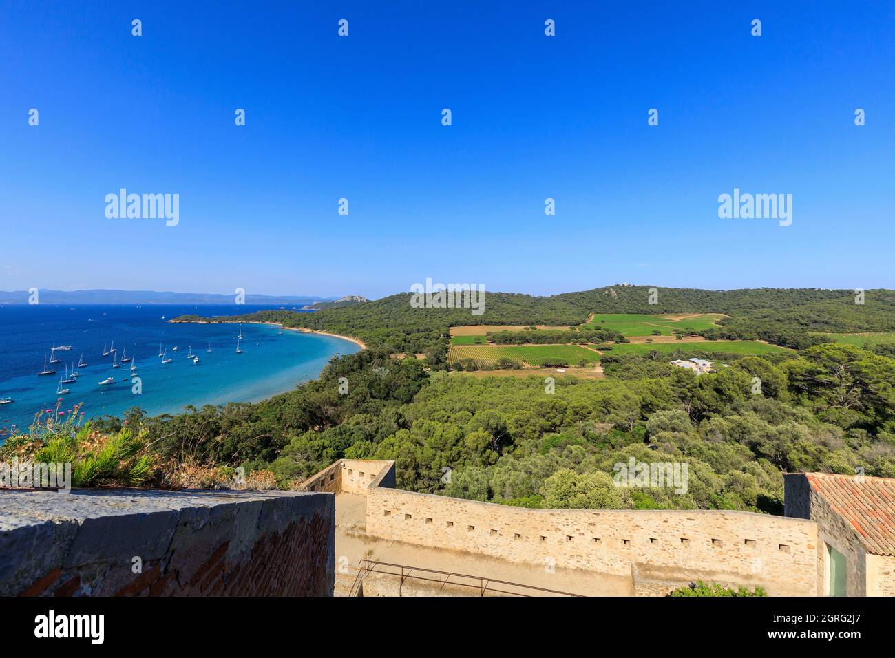 France, Var, Iles d'Hyeres, Port Cros national park, Porquerolles island, Carmignac Foundation Stock Photo