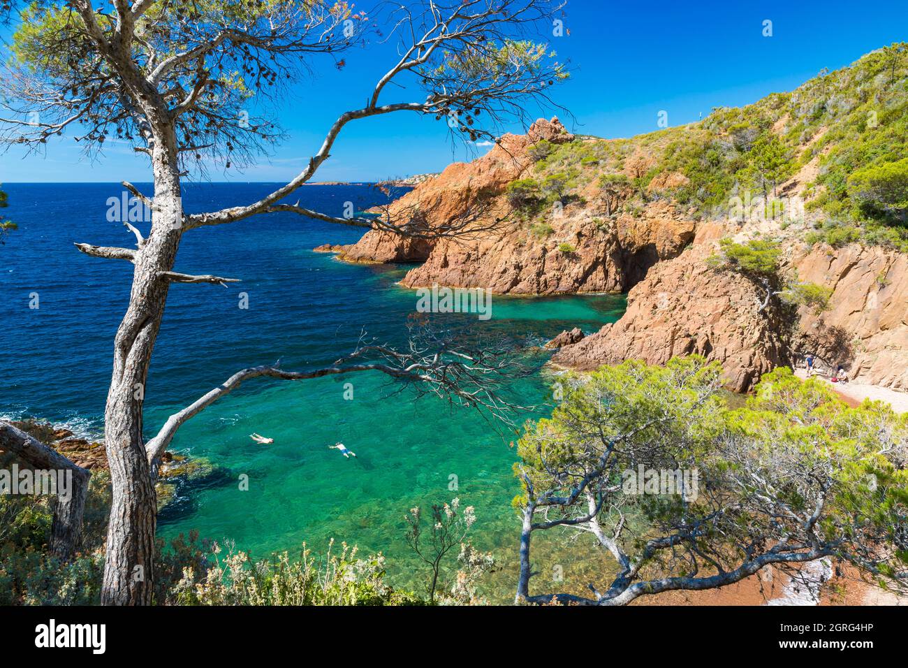 Calanque De Saint Barthélemy 83700 Saint Raphaël Calanque de saint barthelemy hi-res stock photography and images - Alamy
