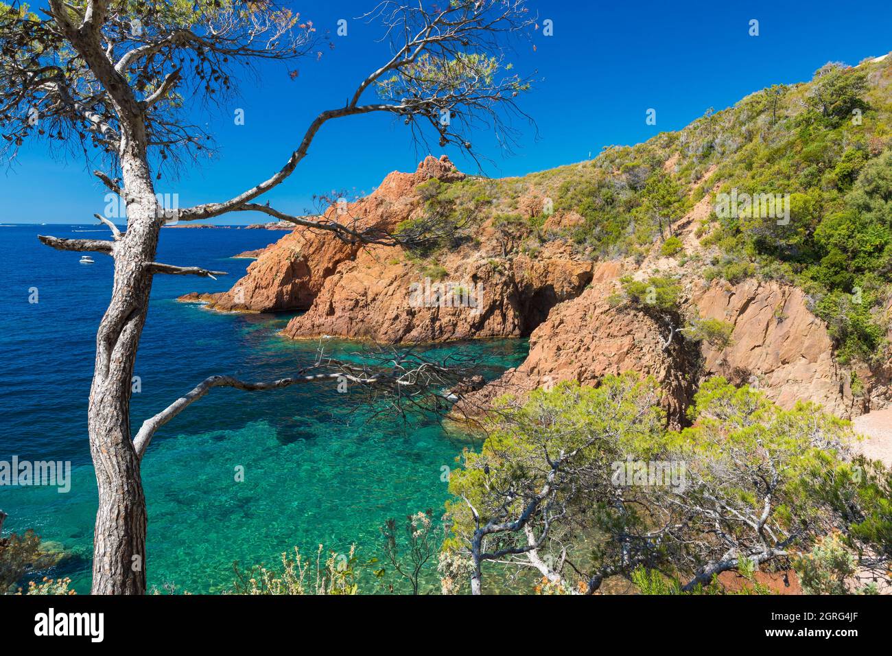 Calanque De Saint Barthélemy 83700 Saint Raphaël Calanque de saint barthelemy hi-res stock photography and images - Alamy