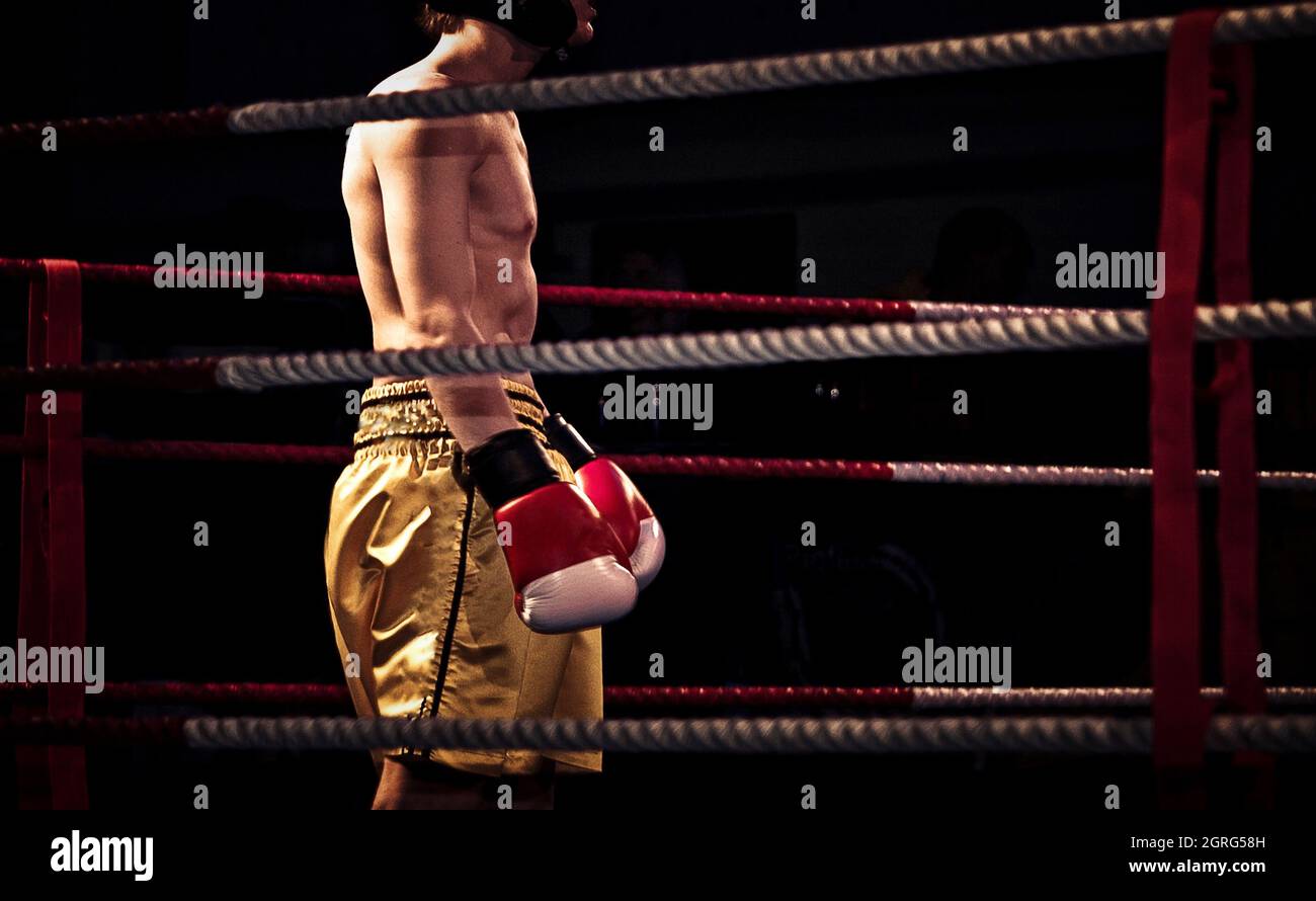 Ready To Rumble High Resolution Stock Photography And Images Alamy Ready To Rumble High Resolution Stock Photography And Images Alamy