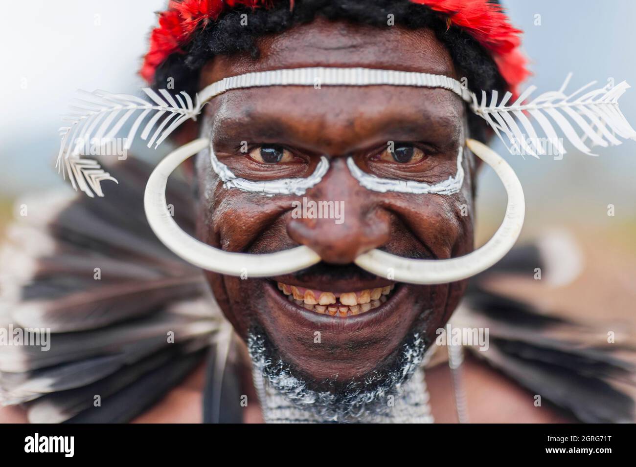 Indonesia, Papua, city of Wamena, smiling portrait of a man from the Dani tribe, wearing wild boar tusks through his nose. Baliem Valley Cultural Festival, every August, tribes come together to perform ancestral war scenes, parade and dance in traditional clothes Stock Photo