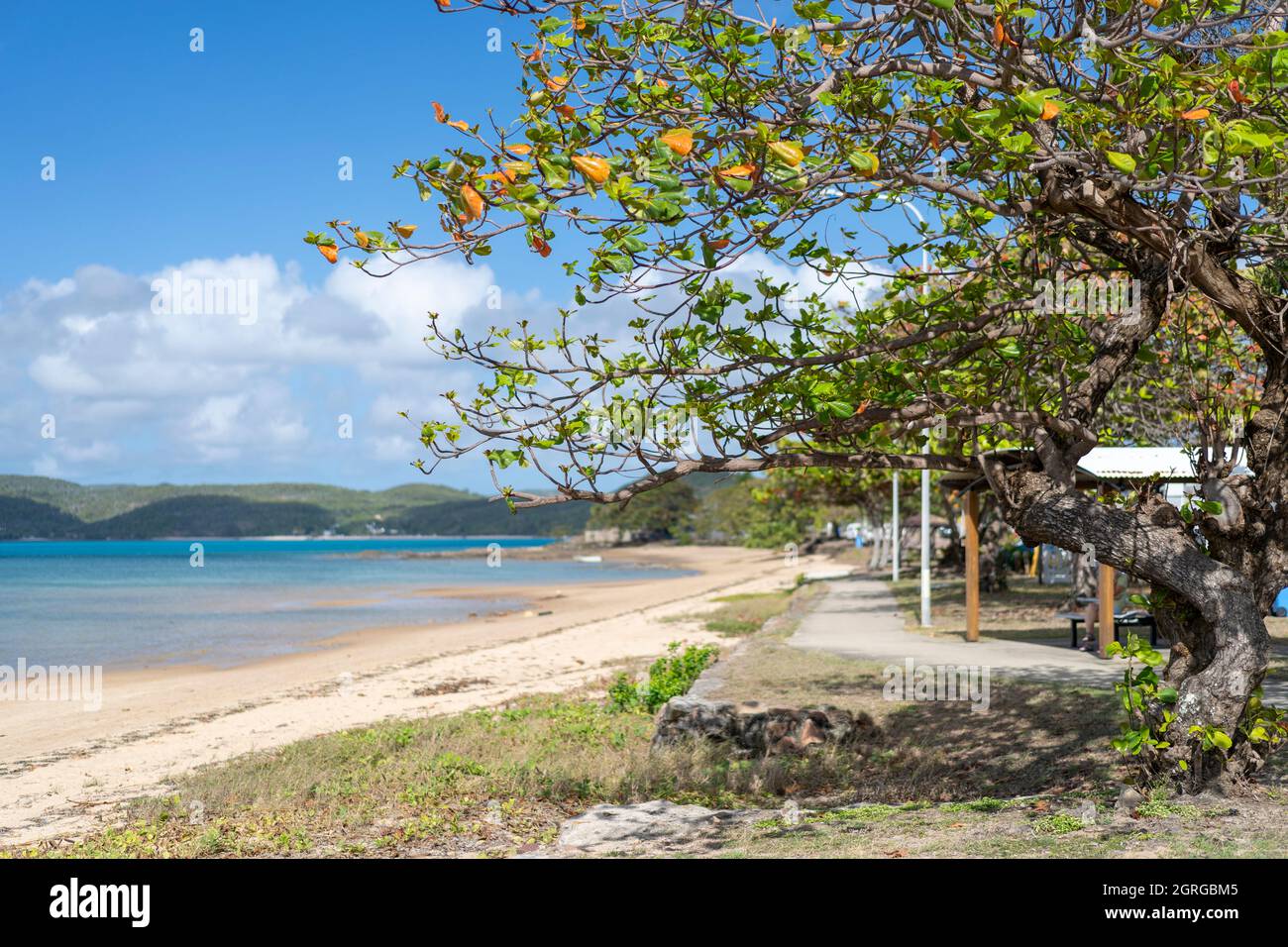 Treelined sandy beach, Victoria Parade, Thursday Island, Torres Straits, Queensland Australia Stock Photo