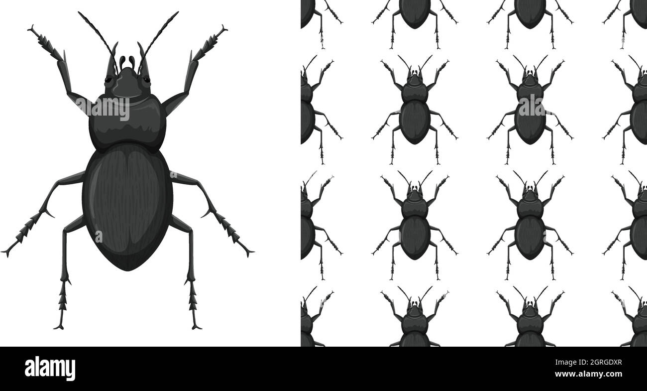 Carabidae isolated on white background and Carabidae seamless Stock Vector
