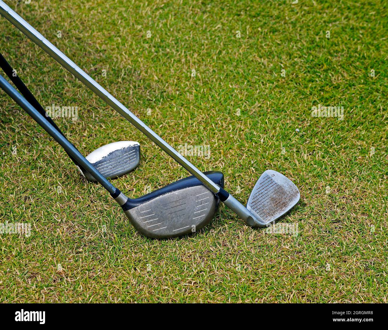 Page 2 - Grass No Objects High Resolution Stock Photography and Images -  Alamy