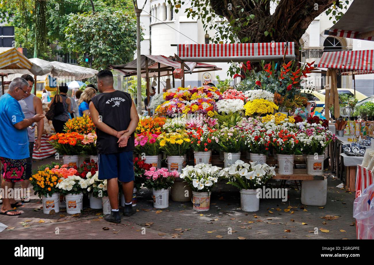 RIO DE JANEIRO, BRAZIL - DECEMBER 20, 2019: Flowers seller on marketplace in the neighborhood of Ipanema Stock Photo