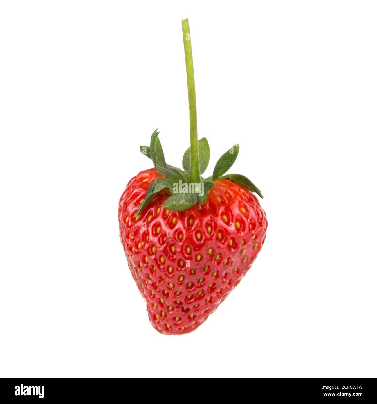 Strawberry Over White Background Stock Photo - Alamy