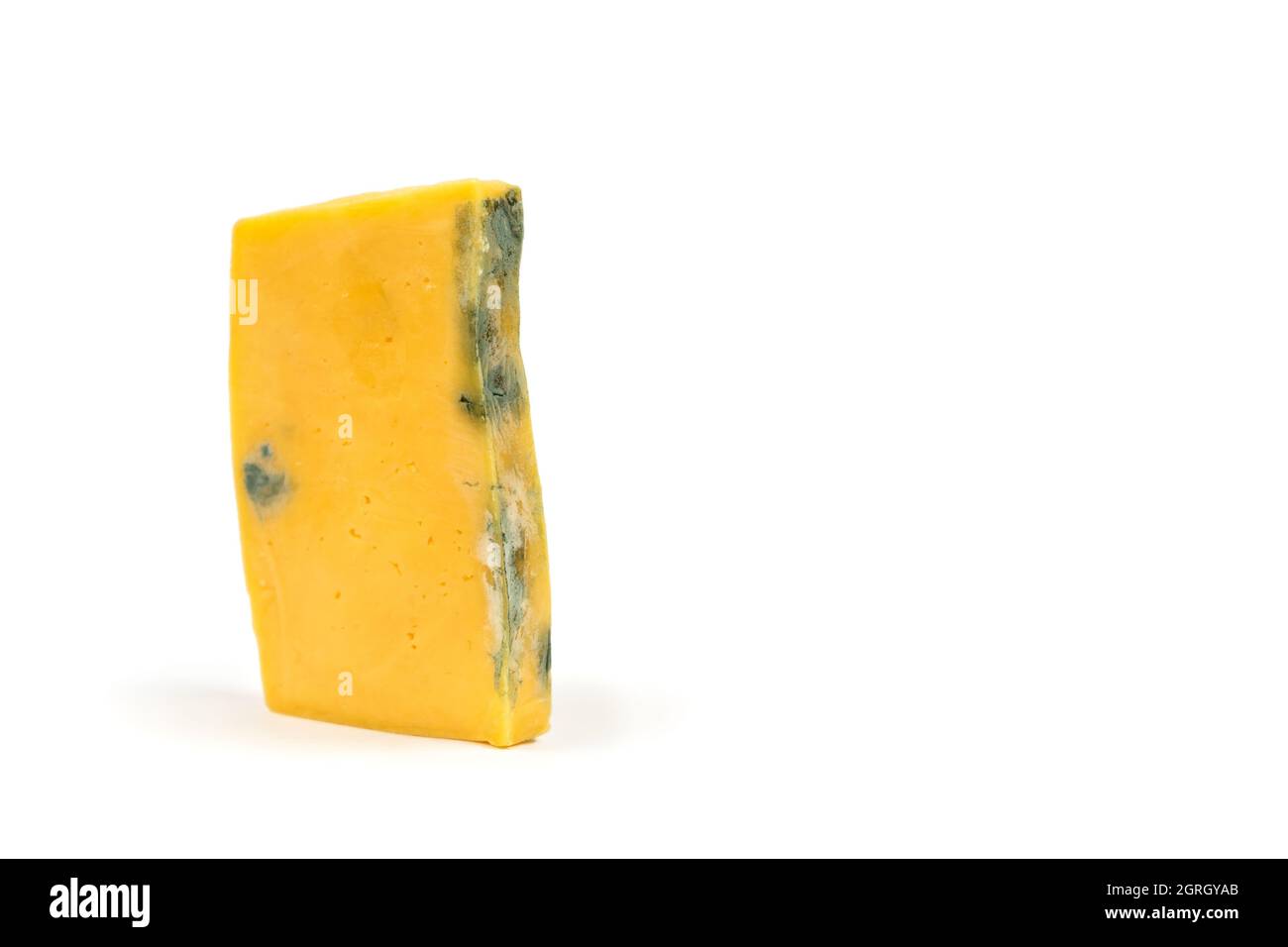 A piece of rotten cheese covered with mold. Not suitable for cooking