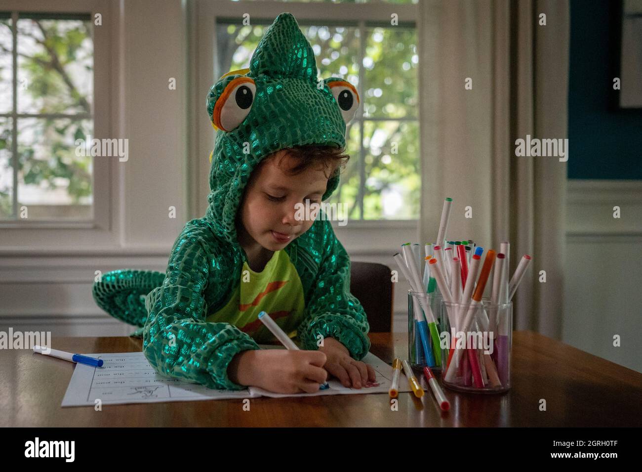 Lizard costume on sale