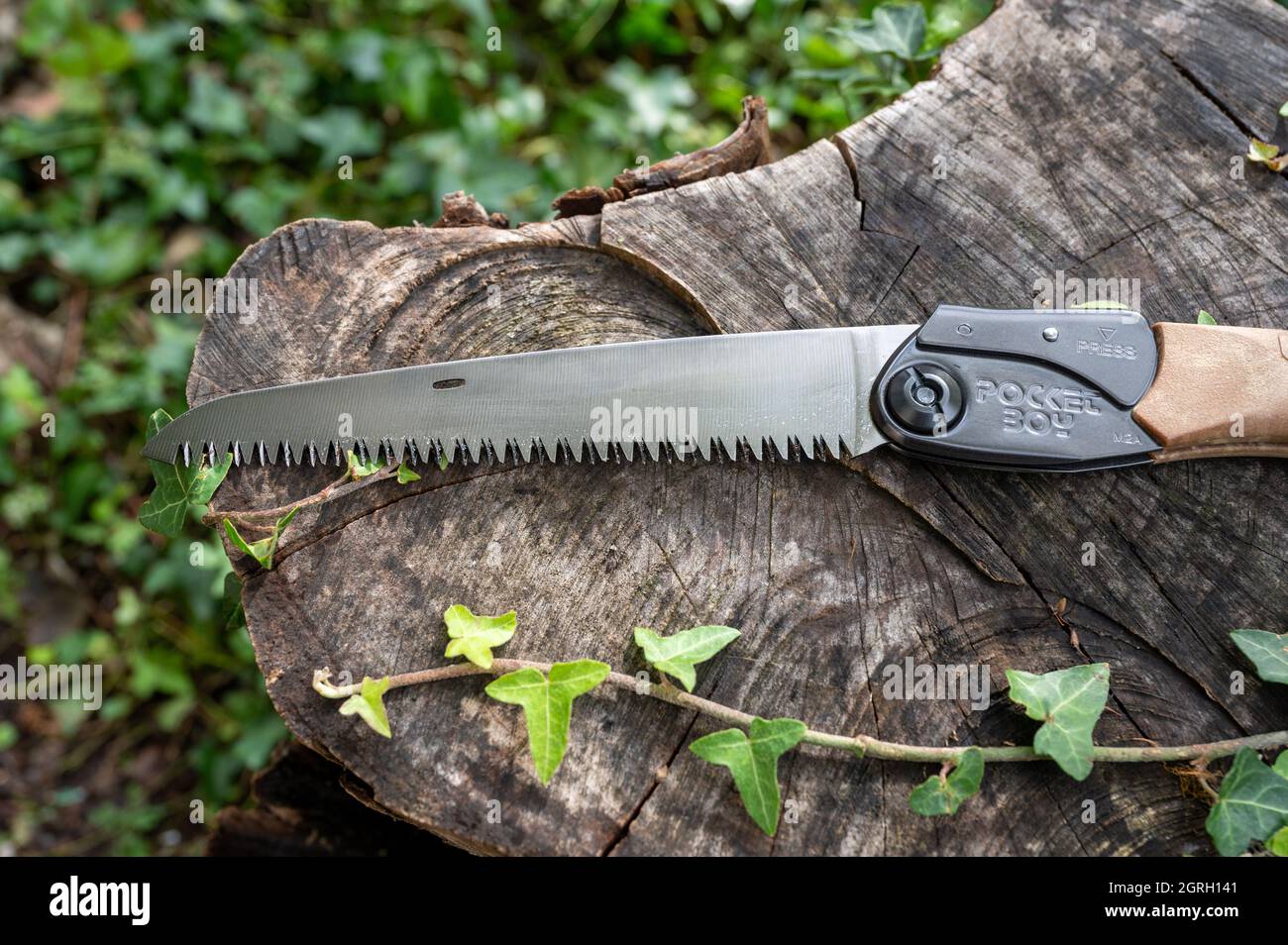 Silky Pocket Boy folding saw pictured outdoors in a tree stump used for
