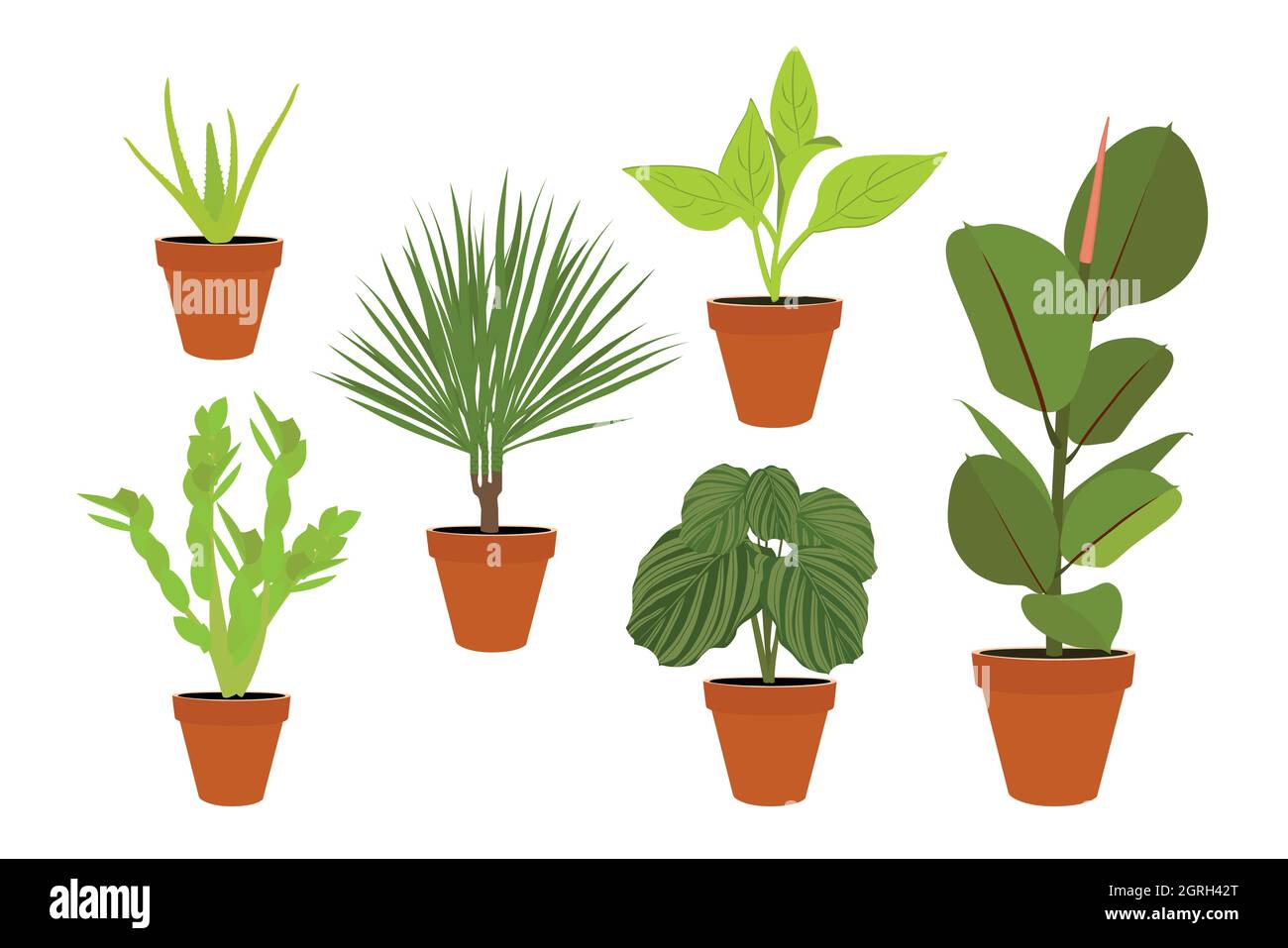 Collection of 6 potted home natural plants for your mockups designs, web designs and print Stock Vector