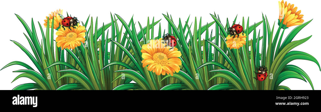 A garden with ladybugs Stock Vector Image & Art - Alamy