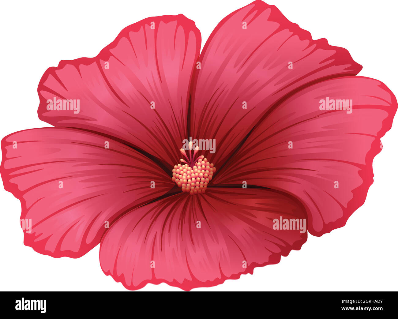 A red flower Stock Vector