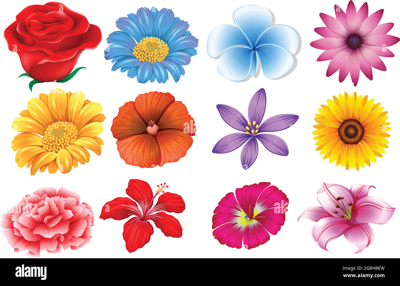 Set of different flowers Stock Vector
