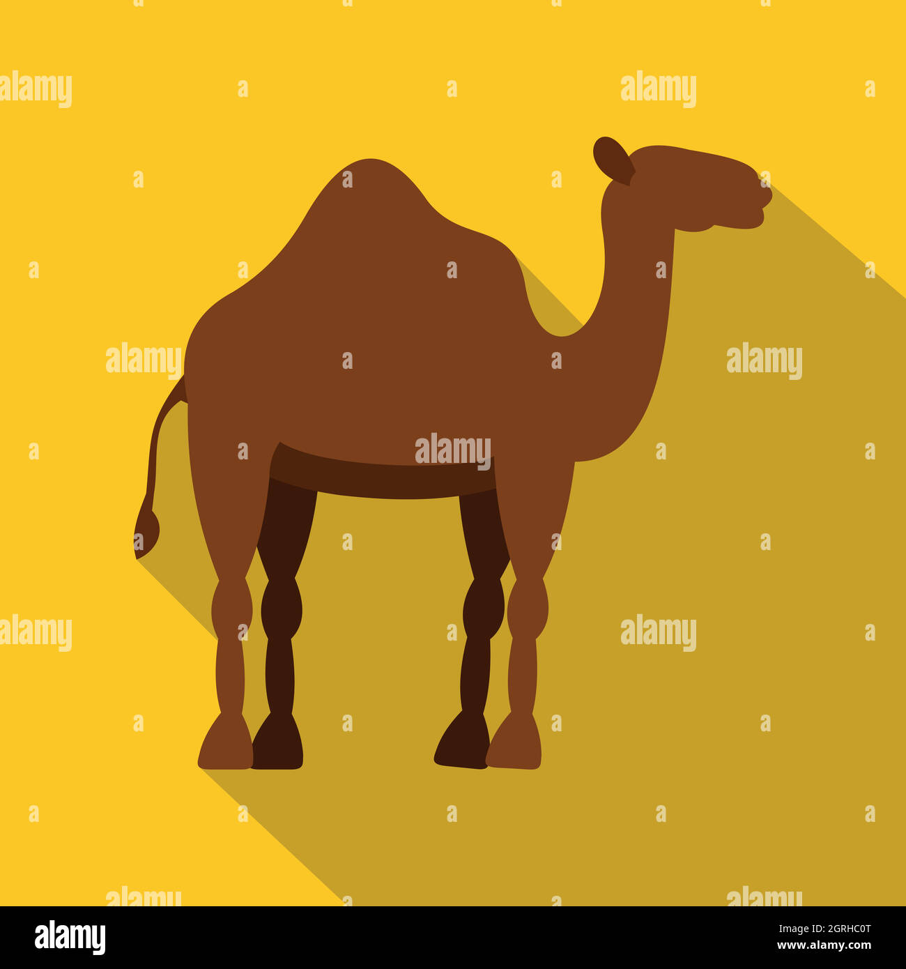 Dromedary camel icon, flat style Stock Vector