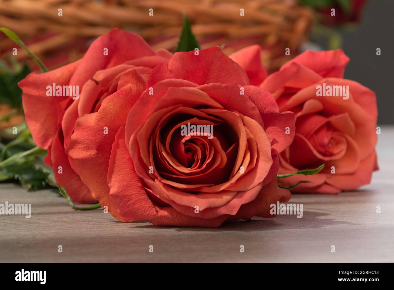flower arrangement with beautiful orange roses lying on a wooden table, nature and beauty, decoration and gift for valentine in studio Stock Photo
