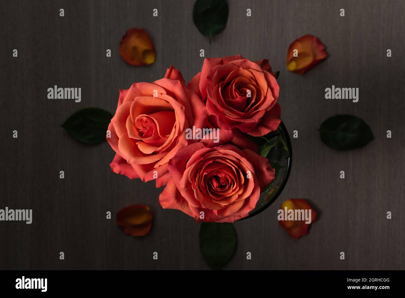 head of three beautiful roses, flower arrangement decorated with petals ...