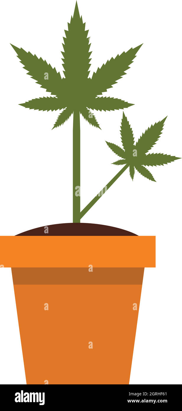 indoor plants with stand Iron X-Tall Plant Stand