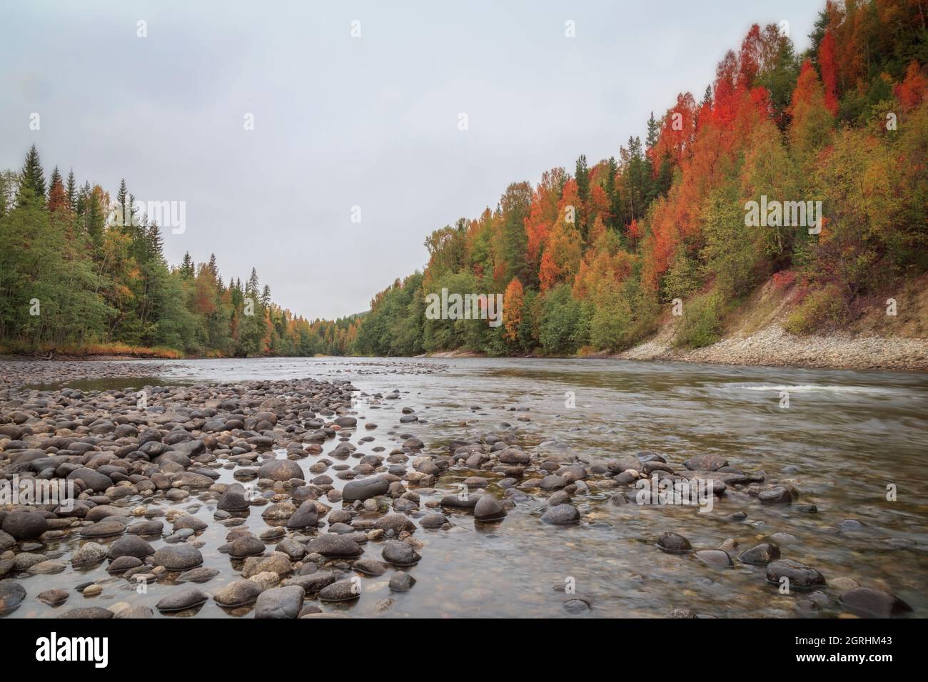 rocks in a river forest mountain landscape Stock Photo