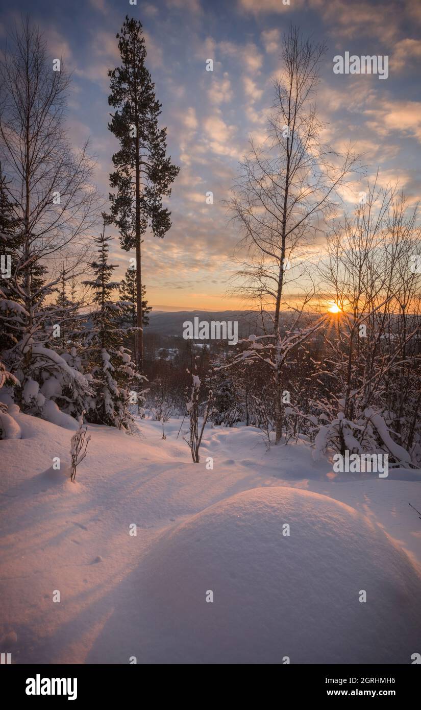 snow in  a forest winter mountain landscape Stock Photo